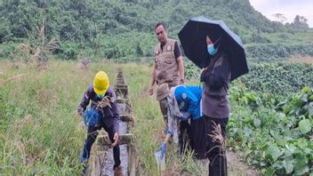 Tanggapi Laporan Warga, Pemrov Susur Dugaan Pertanian di Sulbar Tercemar Limbah Sawit