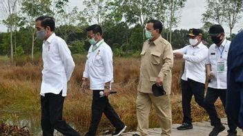 Prabowo Subianto Targets Indonesia To Have 1.4 Million Hectares Of Cassava Land