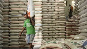 The Ministry Of Agriculture Is Optimistic That The Lack Of Rice Supply Due To Drought Will Be Fulfilled Soon This Year