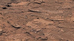 Penjelajah Curiosity NASA Temukan Bukti Pernah Ada Gelombang Air di Mars
