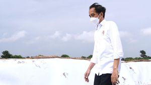 Cuaca Ekstrem Akibat Siklon Tropis Seroja, Jokowi Minta BMKG Gencarkan Peringatan Dini