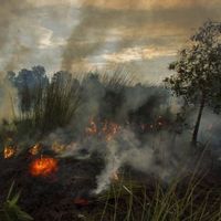 Satgas COVID-19 Babel Diaktifkan Lagi, Tapi Kini Tangani Karhutla