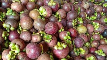 干竹皮肤对身体健康的好处