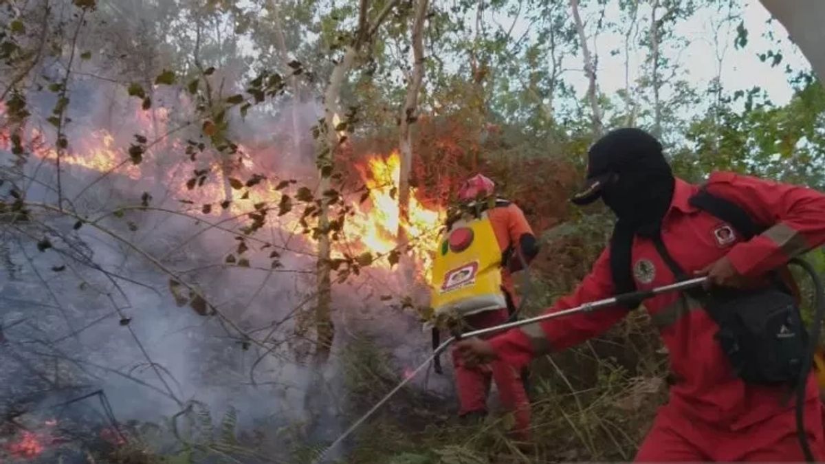 旱季到了，东奥库摄政要求公司提供森林和陆地防火工具，随时可用 