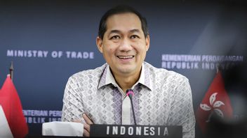 Le Ministre Du Commerce Lutfi Prêt à Chasser Rp16 Billions D’exportations Nid D’hirondelle Vers La Chine, Jokowi Demande Au Ministère Du Commerce Et De L’Agriculture D’avoir Une Seule Voix