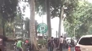 Pelajar di Bogor Naik Motor Jupiter MX Tewas Seketika Usai Kejatuhan Batang Pohon
