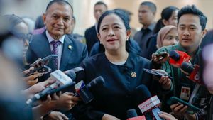 Puan Sebut PDIP considère ses progrès lors des élections de Jakarta de 2024