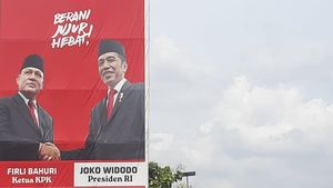 Sindir Baliho Firli Bahuri Muncul di Lampung Selatan, Eks Jubir KPK: Fotonya Bagus, Pak
