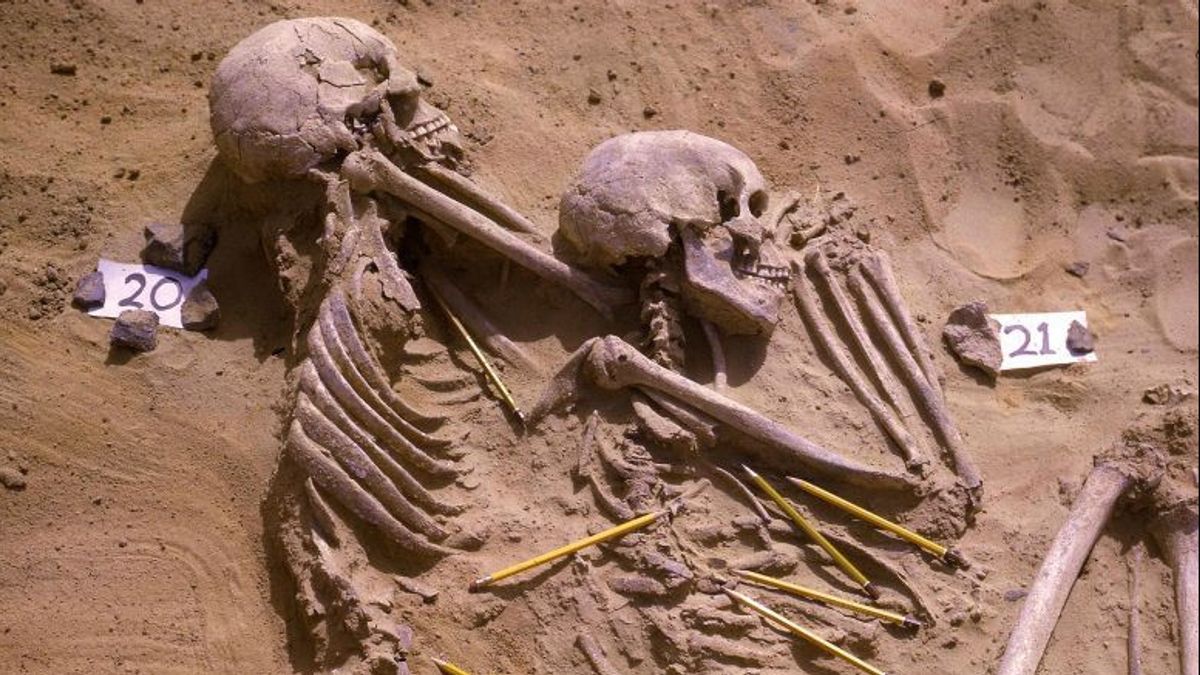 研究人员揭露了一千年前杰贝勒萨哈巴的史前流血事件