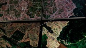 Aceh Alami Deforestasi 9.383 Hektare Hutan Selama 2022