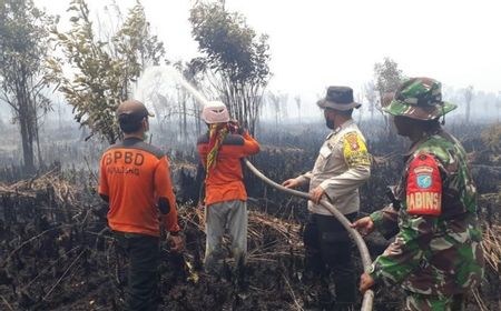 Tim Gabungan Padamkan Karhutla Seluas 7 Hektare di Palangka Raya