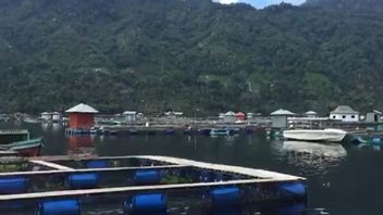 The Oxygen Content Of Danau Ranau Is Starting To Get Normal, Cases Of Mass Death Of Drastic Reduced Fish