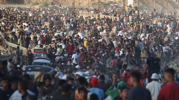 ベルギー国王がガザでのイスラエルの人権侵害を非難、アイブは人道的だと言う