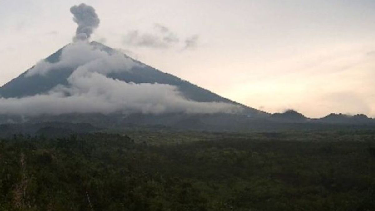 بركان جبل سيميرو ، ثوران العمود 800 متر