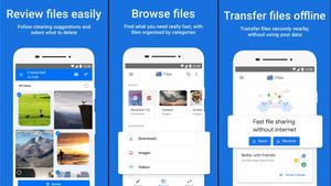 Google Akan Hapus Tab Important dari Aplikasi Files by Google pada 15 Februari