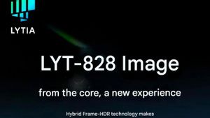 Sensor Kamera Terbaru Sony Jadi Gebrakan Baru dalam Fotografi Smartphone