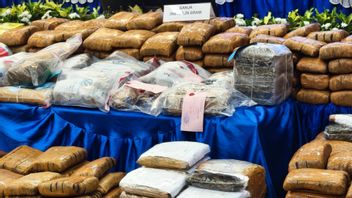 rénitale révèle 172 affaires de drogue, preuves saisies de 683 kg