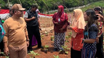 PP Presisi Wujudkan Komitmen TJSL Berkelanjutan Melalui Program Urban Farming Food Estate Kota Depok