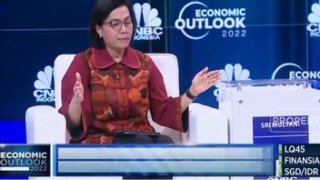 Alhamdulillah, Sri Mulyani Canceled Withdrawal Of IDR 100 Trillion Debt This Year