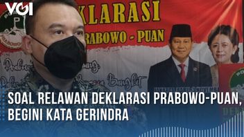 VIDEO: Respons Gerindra Soal Kemunculan Relawan yang Deklarasi Prabowo-Puan