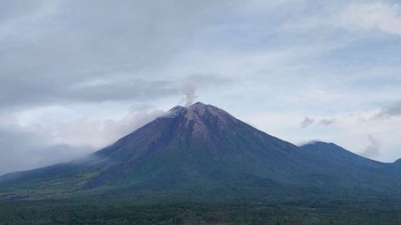 Jumat Pagi Gunung Semeru Erupsi 5 Kali, Warga Diimbau Tingkatkan Kewaspadaan