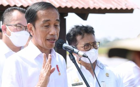 Presiden Jokowi Teken Aturan Penghapusan Kekerasan Terhadap Anak