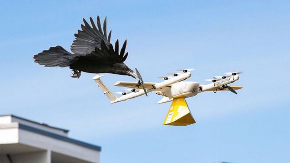 Layanan Pengiriman Barang Via Drone dari Wing Terpaksa Sementara Dihentikan, Ini Penyebabnya