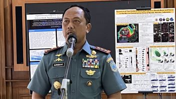 TNI AL dan Peneliti Indonesia Temukan 29 Gunung Bawah Laut di NTT