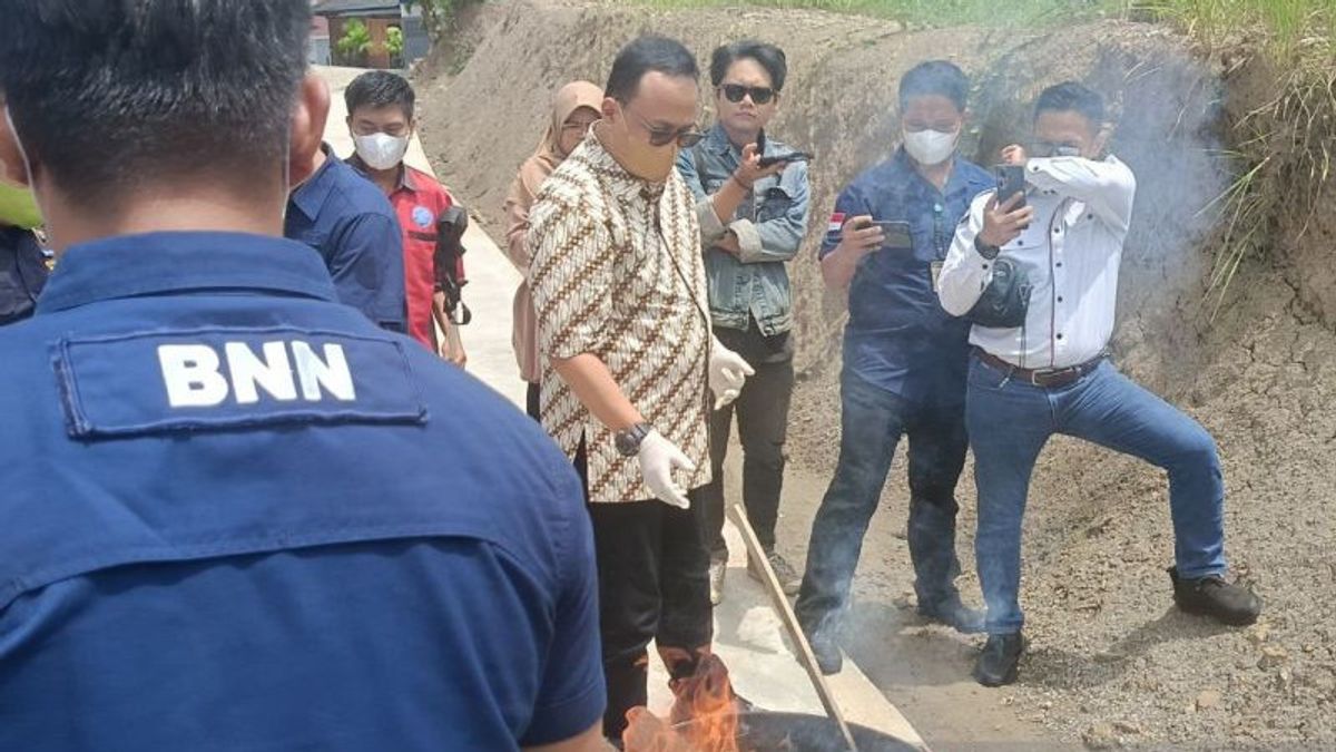 Diblender And Burned, East Kalimantan BNNP Destroys 4 Kg Of Marijuana And 1.1 Kg Of Crystal Methamphetamine