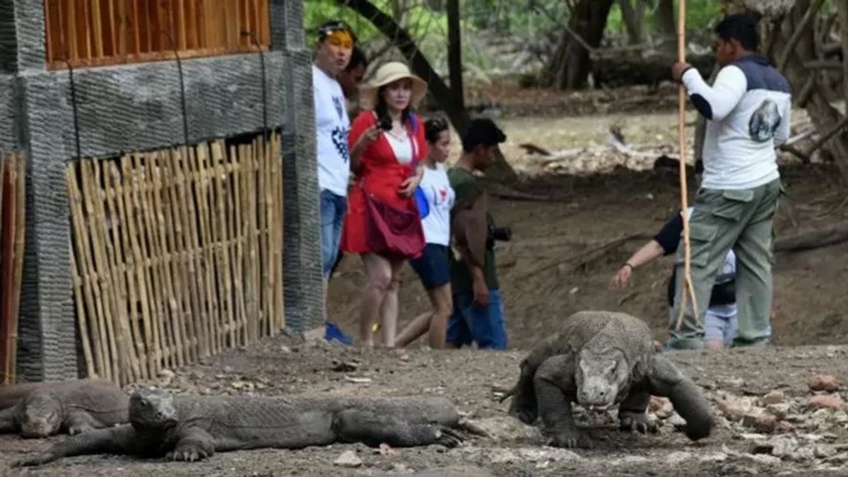 Komodo National Park Will Close Periodically 1 Day In A Week