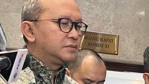 Bos Danantara Pastikan Komisaris BUMN Tak Lagi Dapat Tantiem
