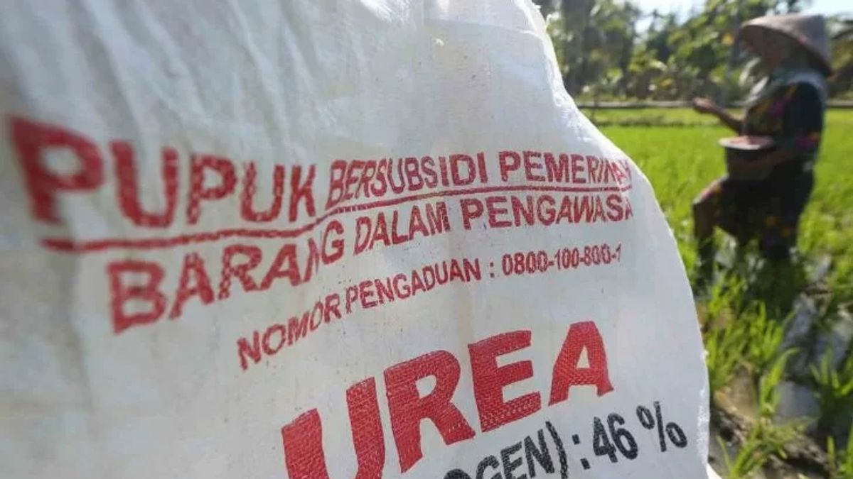 Amankan Mobil Bak Penuh Pupuk Subsidi Ilegal di Gorontalo Utara, Polisi Dalami Praktiknya