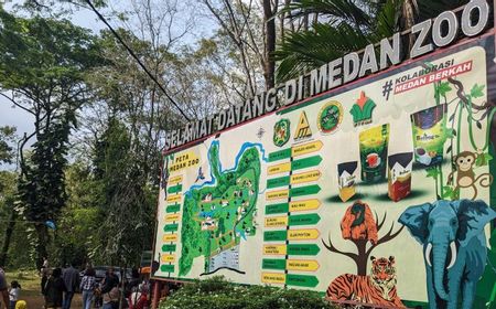 Satwa di Medan Zoo Terbengkalai, KLHK Suplai Pakan, Dokter Hewan hingga Pendampingan