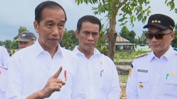 Jokowi trouve que le prix des produits de première nécessité dans le marché C kukeng Bulukumba Sulsel est moins cher que l’île de Java