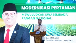 anpa Impor, Wamentan Optimis Tahun Ini Swasembada Beras Tercapai