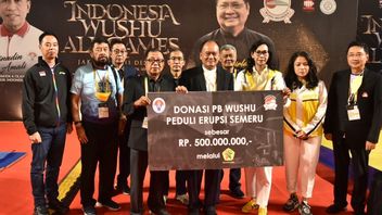  PB Wushu Indonesia Airlangga Hartarto负责人向塞梅鲁山灾难的受害者移交了5亿卢比的援助