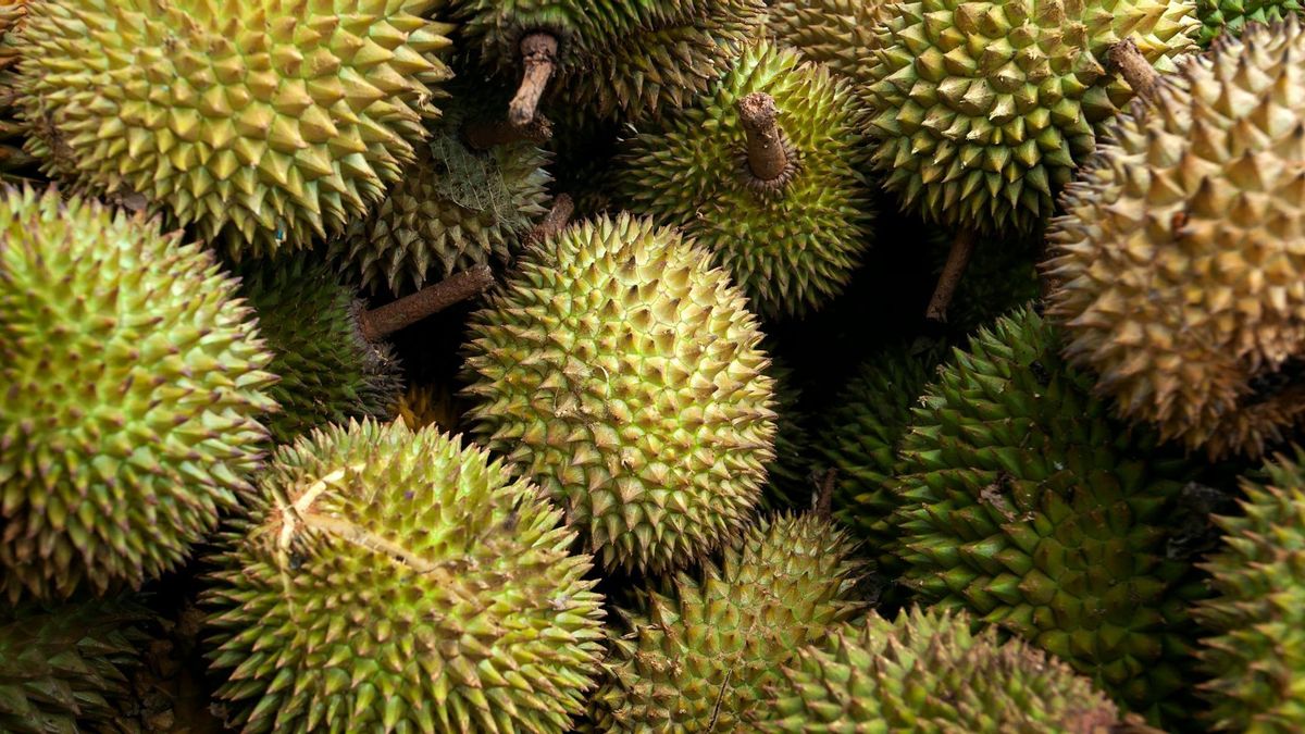 Terjual hingga Jutaan, Pizza Durian Jadi Makanan Populer di China