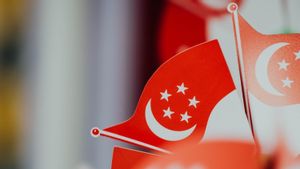 Gara-gara Satu Orang Terlibat Spionase, Seluruh Warga Singapura Berpotensi Dicurigai