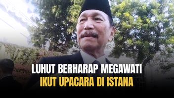 Only Megawati Did Not Participate In The 17th Ceremony At The Palace, This Is Luhut's Response