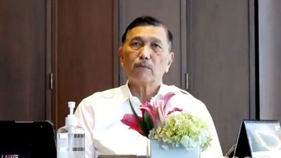 Luhut: Selamat Natal, Tetap Patuhi Protokol Kesehatan