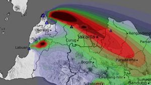 Pengamat Kebijakan Publik Sebut Ada Agenda Setting Pojokkan PLTU pada Isu Polusi Udara Jakarta