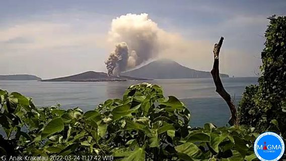 Mount Anak Krakatau Erupts, Sprays Hot Material Up To 1.000 Meters