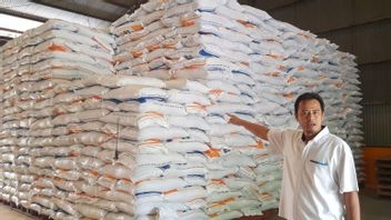 Rice Stock In Tangerang Is Safe And Sufficient Despite The Dry Season