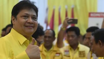 Tak Pedulikan Hasil Survei, Golkar Tetap Bulat Capreskan Airlangga