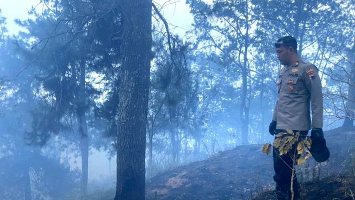 Officers Handling Fires In The Mount Merbabu National Park Area