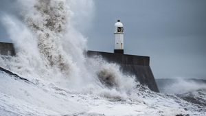 Dari Filipina, Topan Kalmaegi Terjang Vietnam, 5 Orang Tewas