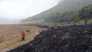 Tim Gabungan Padamkan Kebakaran Padang Rumput di Alun-alun Suryakencana Gunung Gede