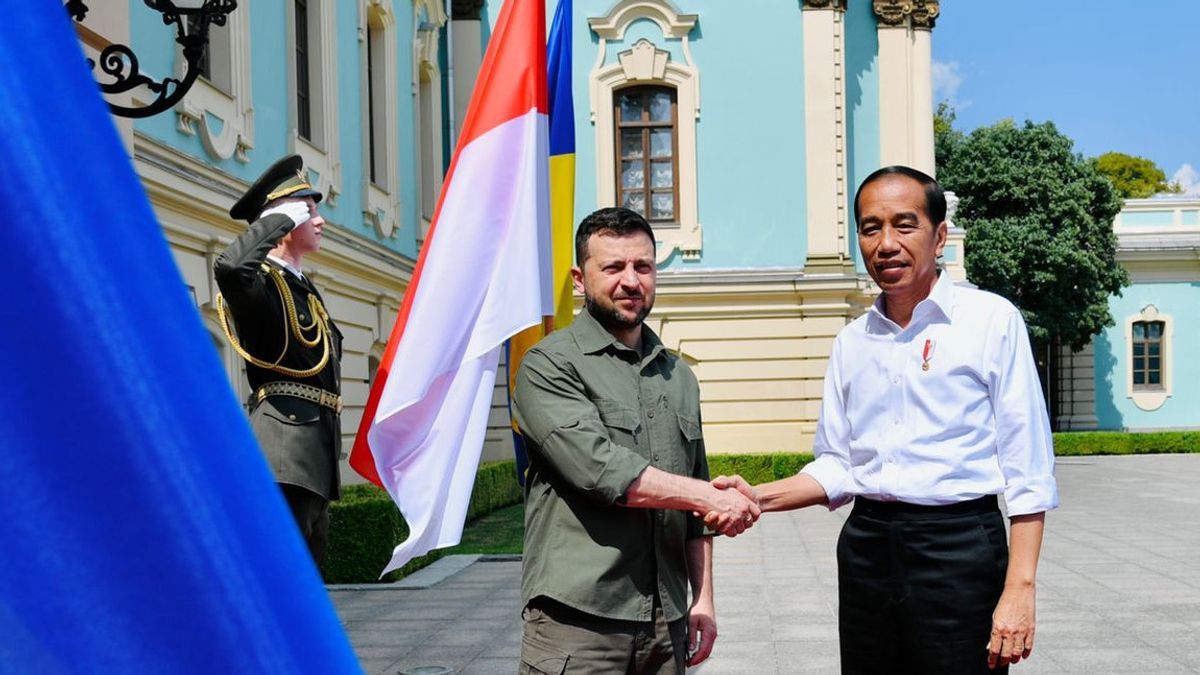 Jokowi Membawa Pesan Zelensky ke Putin, Hoaks atau Fakta?