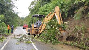 Dalam Tiga Hari 12 Bencana Alam Terjadi di Agam, Penyebabnya Curah Hujan Tinggi