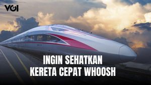 Dony Oskaria Terkait Kereta Cepat Whoosh, Perbaikan untuk Menjadi Perusahaan Sehat